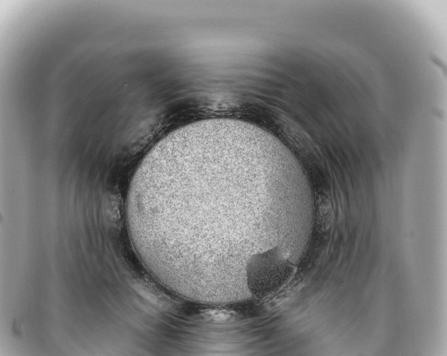 X0000095890654200801251203