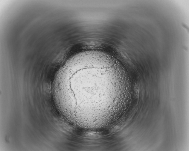 X0000095890657200801251204