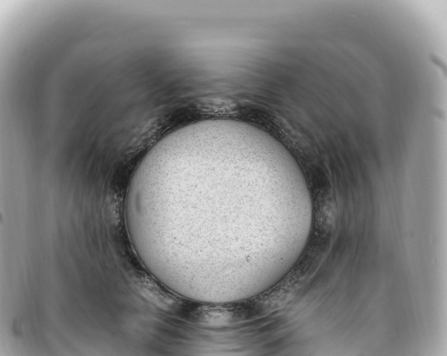 X0000095890658200801251204