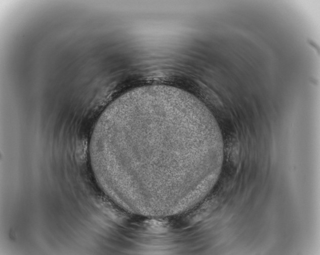 X0000095890660200801251204