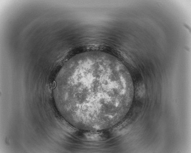 X0000095890661200801251204