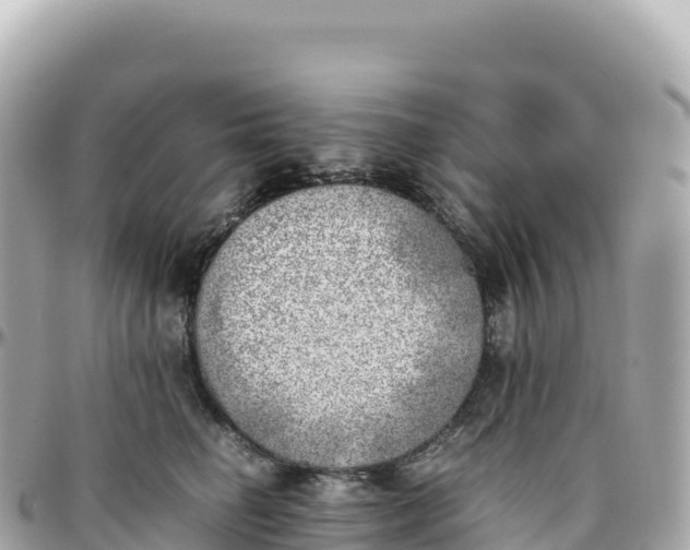 X0000095890662200801251204