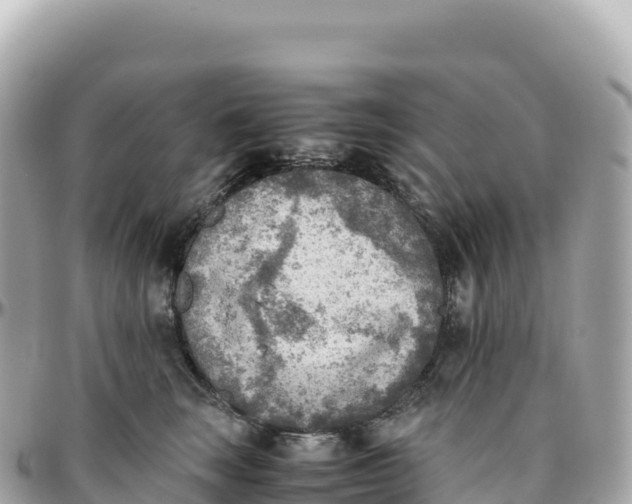 X0000095890663200801251204