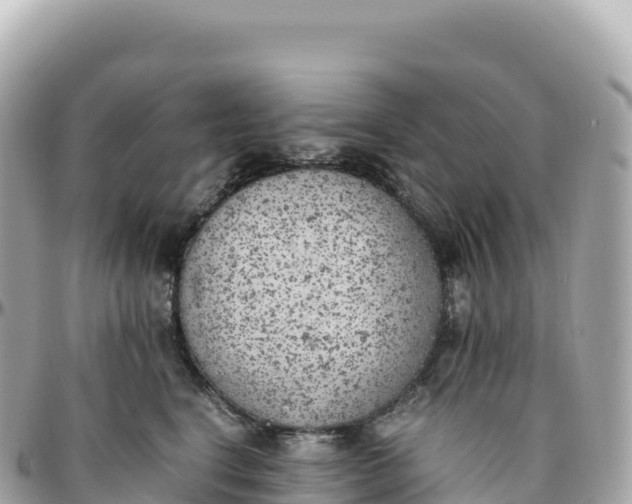 X0000095890664200801251204