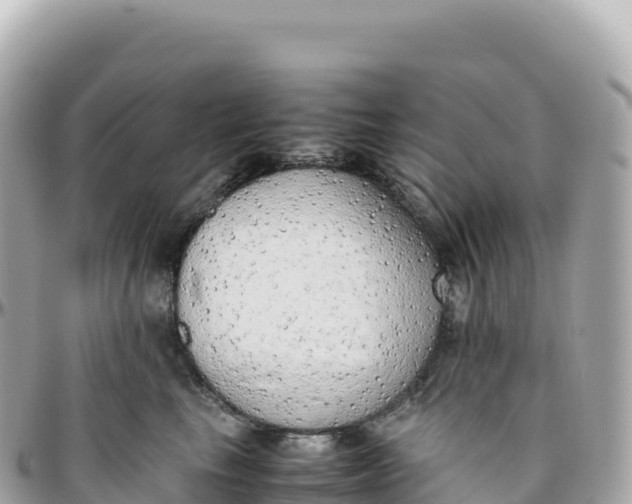 X0000095890665200801251204