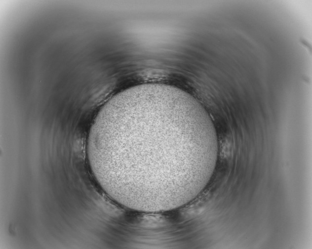 X0000095890666200801251204