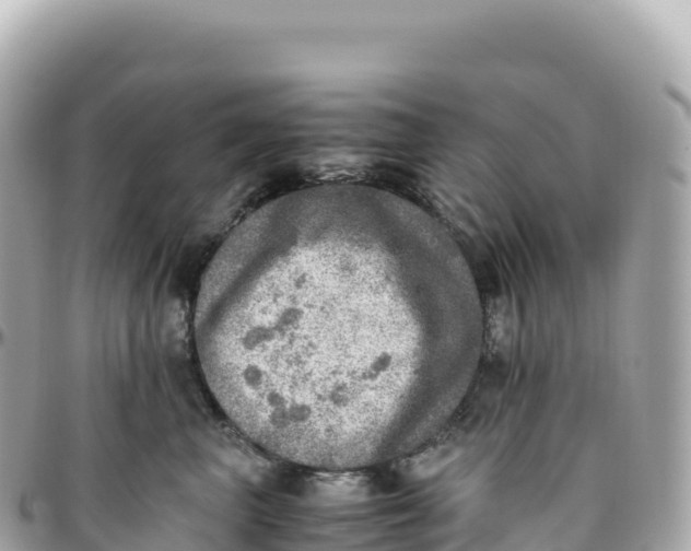 X0000095890667200801251204