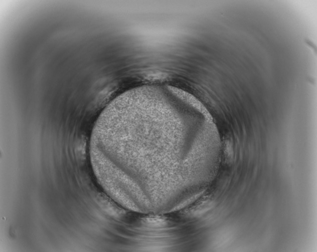 X0000095890668200801251204