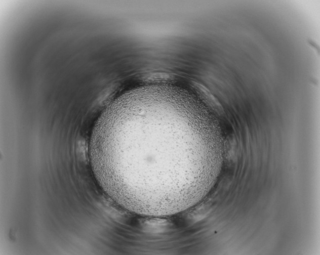 X0000095890669200801251204