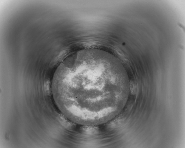 X0000095890670200801251204