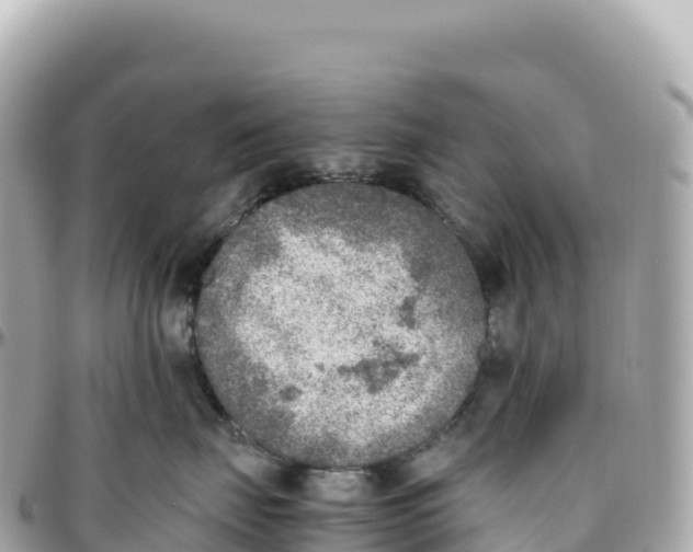 X0000095890671200801251204