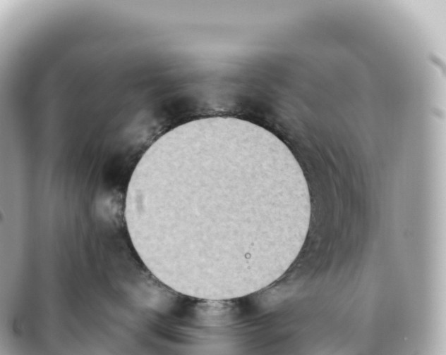 X0000095890672200801251204