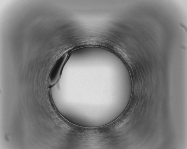 X0000095890673200801251203