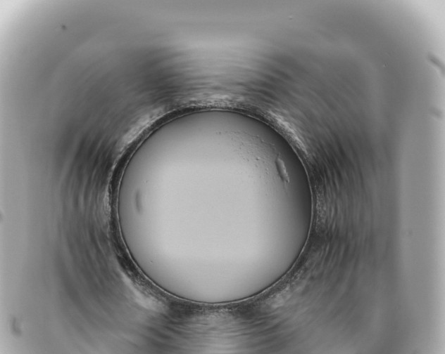 X0000095890674200801251203