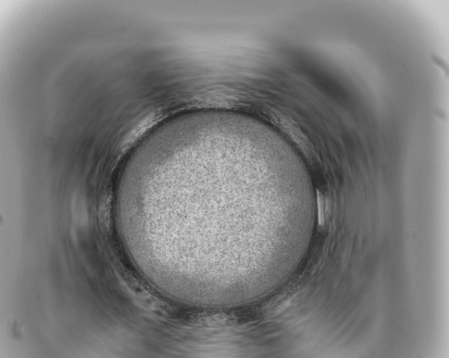 X0000095890675200801251203