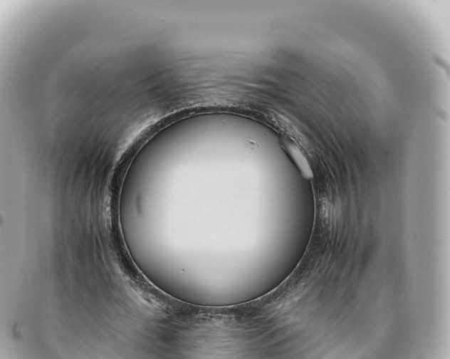 X0000095890676200801251203