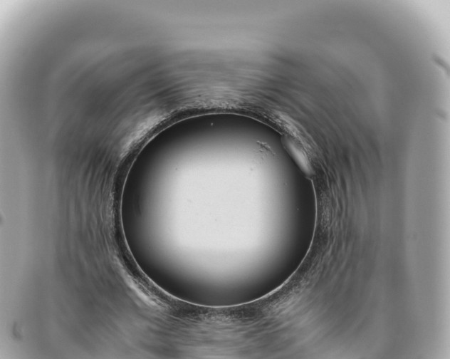 X0000095890677200801251203