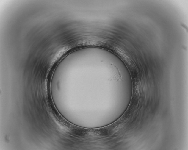 X0000095890678200801251203