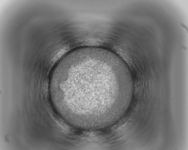 X0000095890679200801251203