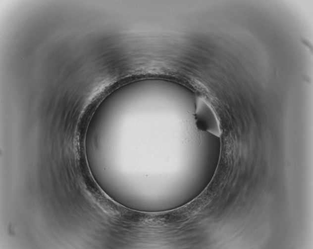 X0000095890680200801251203