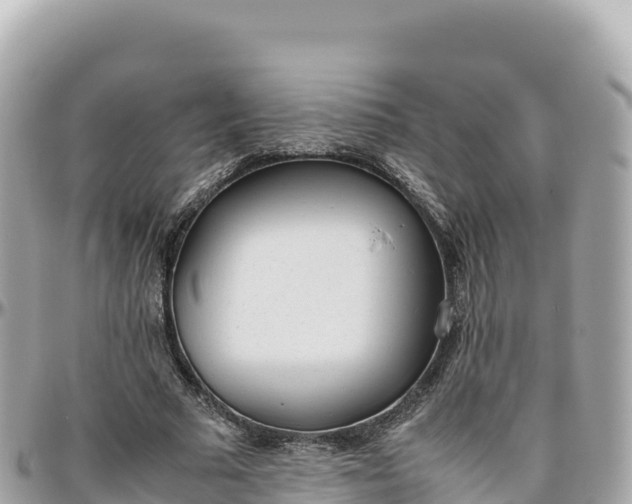 X0000095890681200801251203