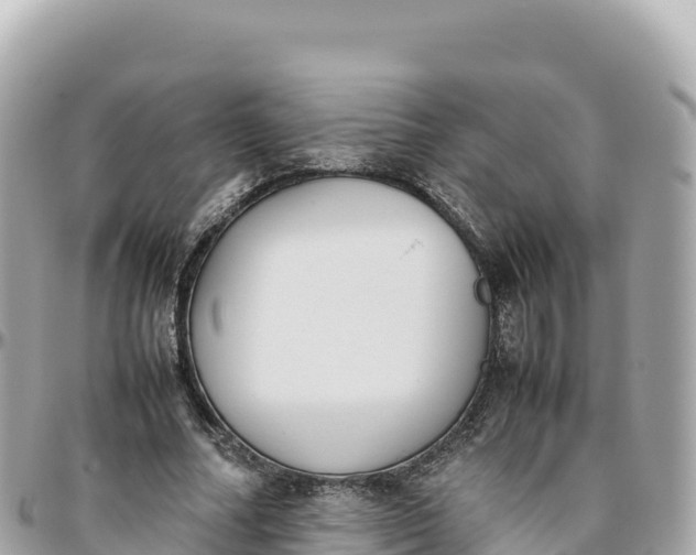 X0000095890682200801251203