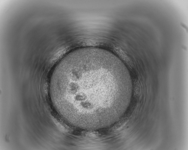 X0000095890683200801251203