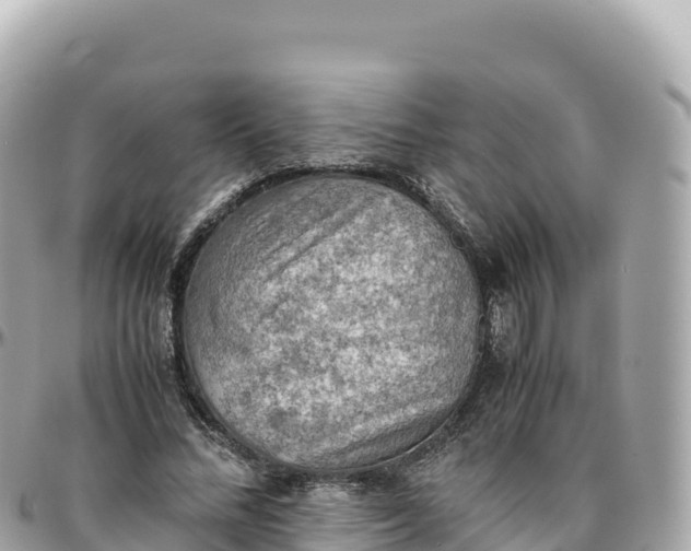 X0000095890684200801251203