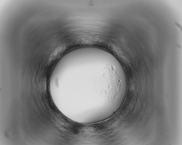 X0000095890685200801251203