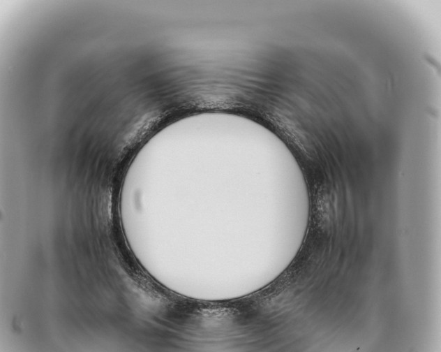 X0000095890686200801251203