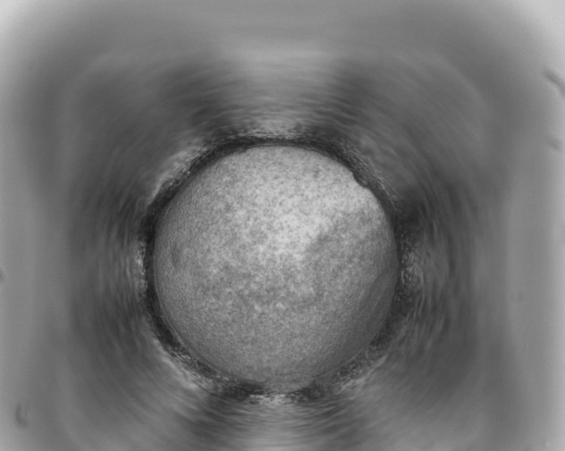 X0000095890688200801251203