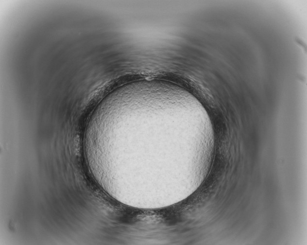 X0000095890689200801251203