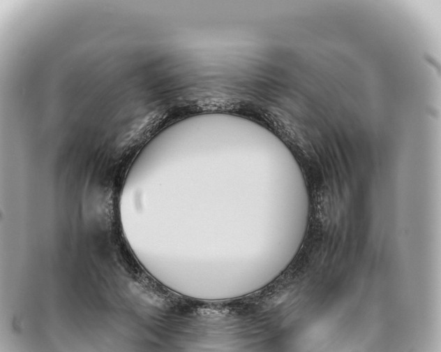 X0000095890690200801251203