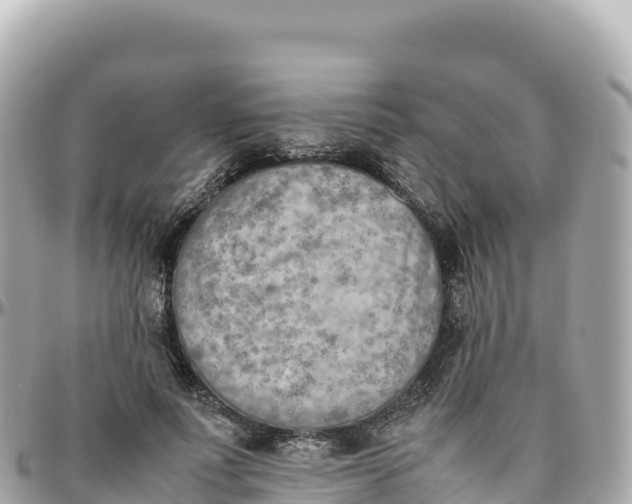 X0000095890691200801251203