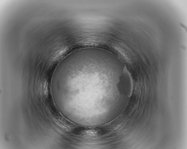 X0000095890692200801251203