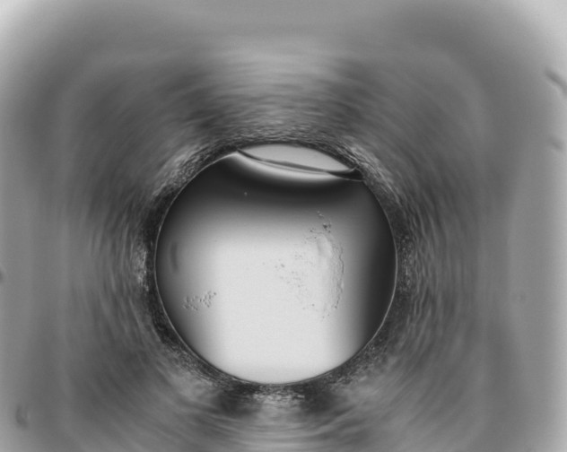 X0000095890693200801251203