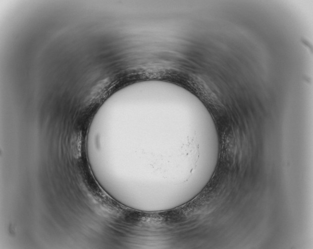 X0000095890694200801251203