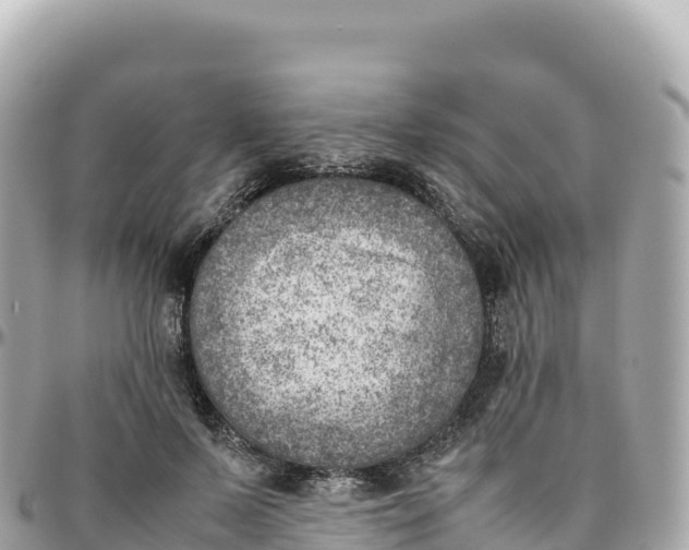 X0000095890695200801251203