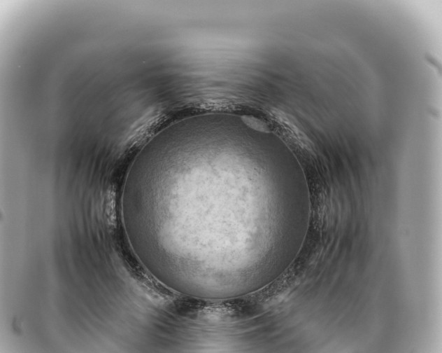 X0000095890696200801251203