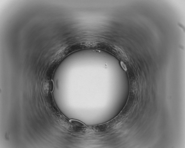 X0000095890697200801251203