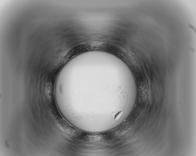 X0000095890698200801251203