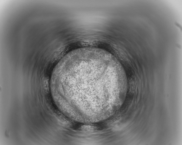 X0000095890699200801251203