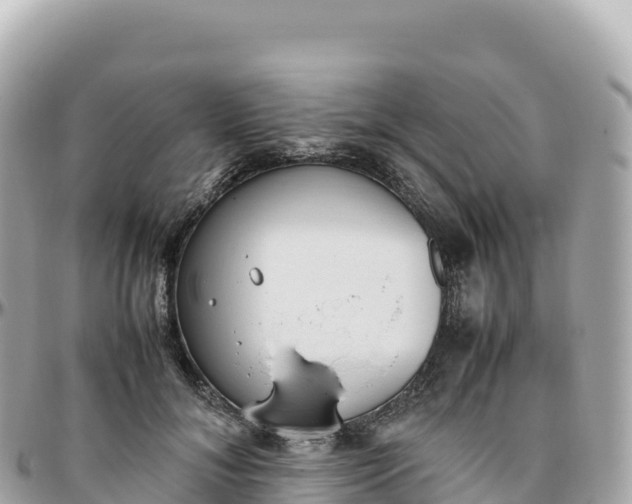 X0000095890700200801251203