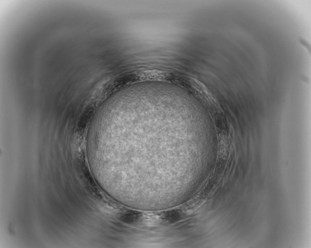 X0000095890701200801251203