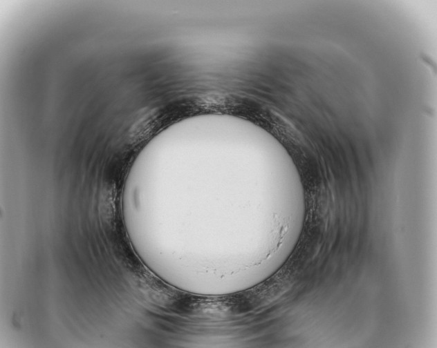 X0000095890702200801251203