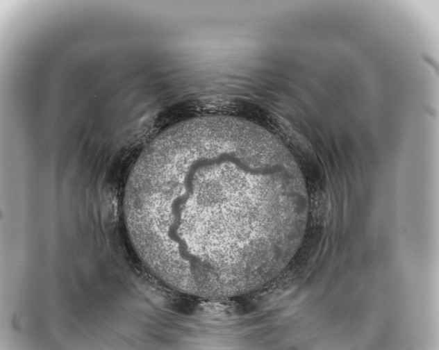 X0000095890703200801251203