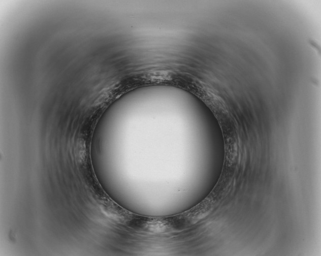 X0000095890704200801251202