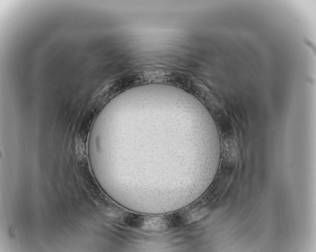 X0000095890705200801251202