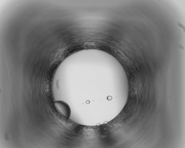 X0000095890706200801251202