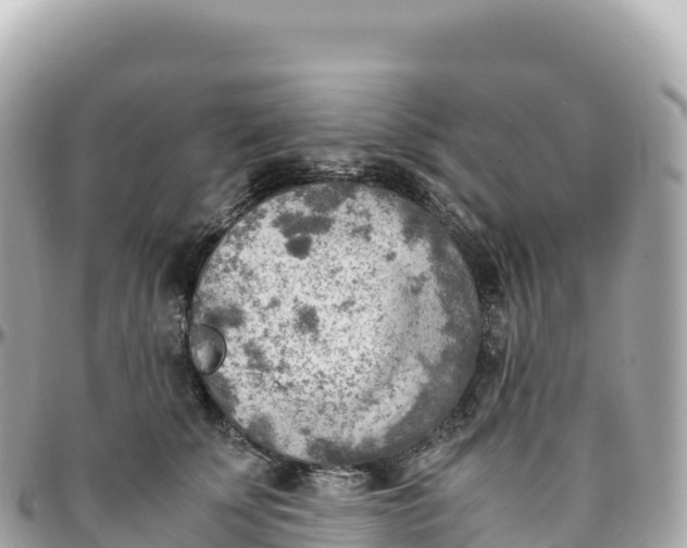 X0000095890707200801251202